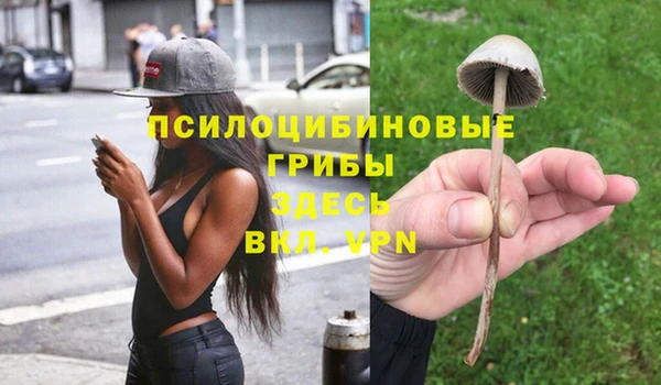 2c-b Балабаново
