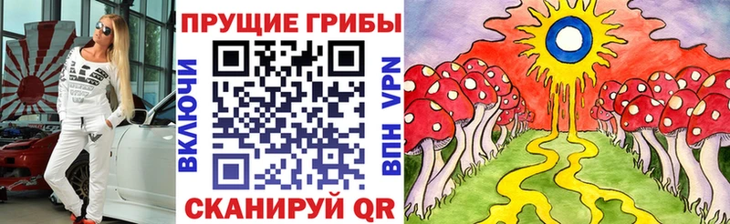 где найти   darknet клад  Галлюциногенные грибы Psilocybine cubensis  Нестеров 